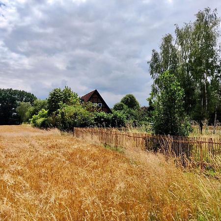 Fachwerk-Treppenspeicher, Ruhe Auf Dem Land, Haustiere Willkommen, Leihfahrraeder, 24-7 Check In Kirchlinteln Kültér fotó