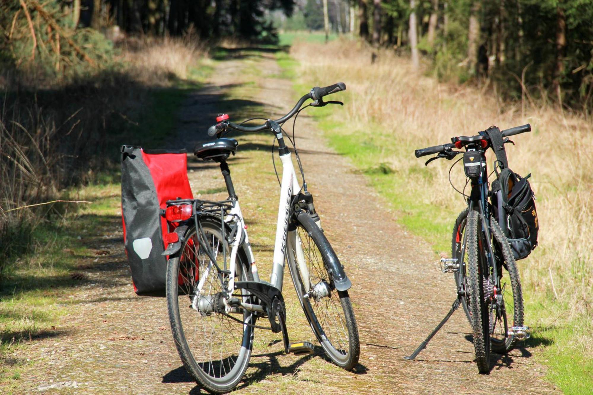 Fachwerk-Treppenspeicher, Ruhe Auf Dem Land, Haustiere Willkommen, Leihfahrraeder, 24-7 Check In Kirchlinteln Kültér fotó